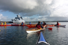 Fischbrötchen 2017 OU (7)