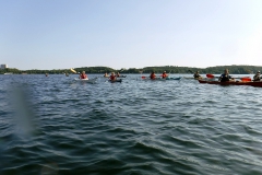 2016 Plöntour (7)
