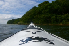 thumb_P1070574_1024