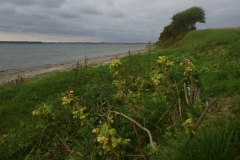 thumb_P1070587_1024