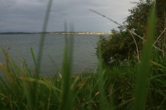 thumb_P1070590_1024