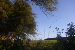 thumb_P1070610_1024