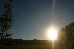 thumb_P1070616_1024