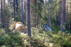 2018 Finnland  (17)