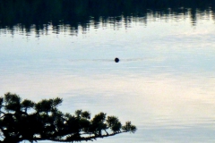 2018 Finnland  (43)