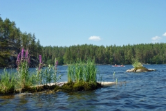 2018 Finnland  (6)