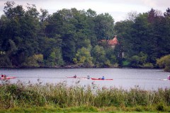 DSC00910