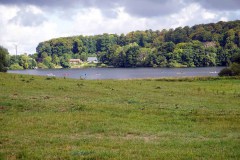 DSC00920