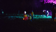 2024-Laternelaufen-10