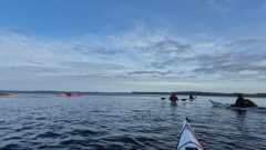 IMG-20250125-WA0008