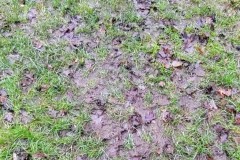 IMG_20241227_120151