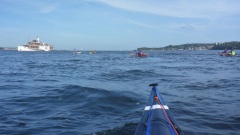 Fischbroetchentour-2026-OU-7