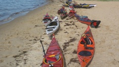Fischbroetchentour-2026-OU-8