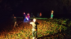 IMG_20251017_195709