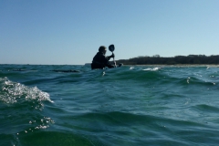 Surf