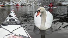 Photo: Andreas Druschky