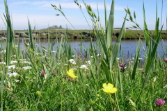 Nordsee-9