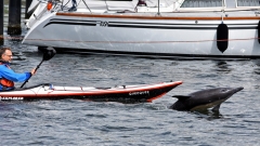 Delfin-MB-1