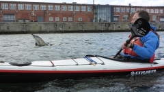 Delfin-OU-11