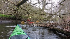 Eider-2022-OU-14