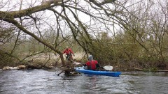 Eider-2022-OU-15