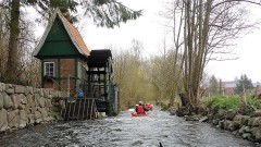 Eider-2022-OU-4