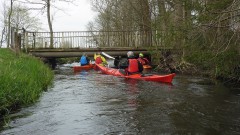 Eider-2022-OU-5