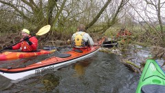 Eider-2022-OU-6