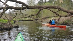 Eider-2022-OU-8