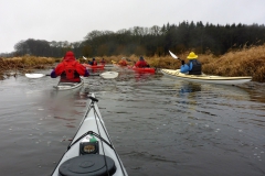 19.3. Eider OU (33)