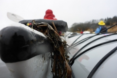19.3. Eider OU (34)