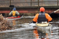 Eider AG (14)