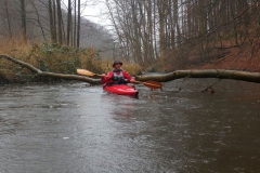 Eider AG (2)