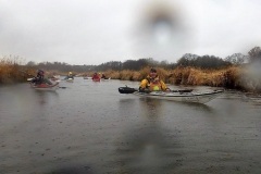 Eider AG (7)