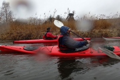 Eider AG (8)