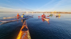 20260318_175417_16_9