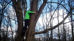 Anlagenwart-beim-Baumschnitt-OU