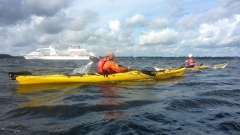EPP-Prüf-OU-7
