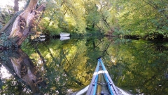 Herbst-21-OU-8