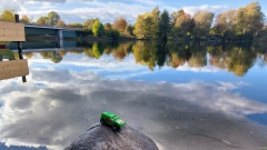 Herbst-25-MG