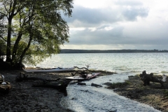 Herbst 18 OU (18)