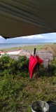 Tag12 20230713 Bild 02 Tag12 20230713 Bild 02