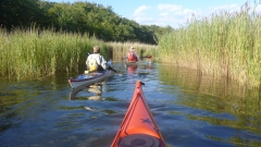 Tag 41 11.08.2023 Bild03