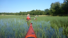 Tag 41 11.08.2023 Bild04