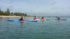 Brodtener-Steilkueste-13.4.24-OU-21