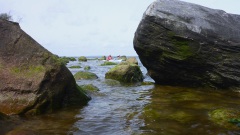 Brodtener-Steilkueste-13.4.24-OU-24