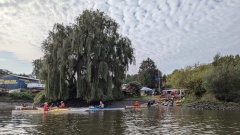 PXL_20240907_074916723