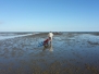 Nordsee 2018