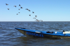 Nordsee 18 OU (13)