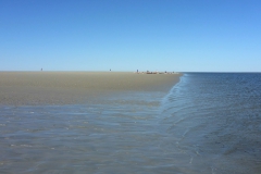 Nordsee 18 OU (15)
